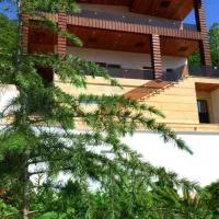 ویلا ۴۵۰ متری مبله با استخر پلاک یک جنگل|فروش خانه و ویلا|امامزاده عبدالله, |دیوار