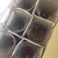 میز اتو ،جام لب طلایی، ظروف ترشیجات|ظروف نگهدارنده، پلاستیکی، یک‌بارمصرف|مشهد, سرافرازان|دیوار