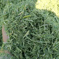 یونجه چین دوم خرمنکوب شده درجه 1