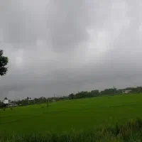حدود-12هزار-متر-زمین-مزروعی-سنتی-تو-طرح-ونسخ-دار