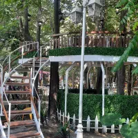 استخدام همکار کافه فست فود طاهباز|استخدام خدمات فروشگاه و رستوران|محمودآباد, |دیوار