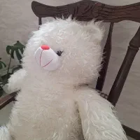 خرس بزرگ|اسباببازی|اصفهان, دشتستان|دیوار