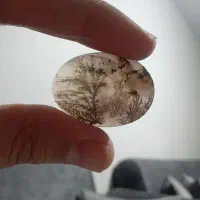 عقیق شجر یمنی فوق العاده زیبا و جذاب