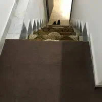 سویت مرکز شهر|اجارهٔ کوتاه‌مدت آپارتمان و سوئیت|رشت, شهرک آیت الله منتظری|دیوار