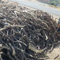 خرید چوب پرتقال و غیره