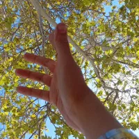جویای کار اداری و دفتری