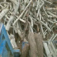 خرید وهرس چوب باغی|خدمات باغبانی و درختکاری|بیرجند, |دیوار