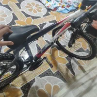 دوچرخه ویوا