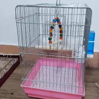 قفس پرنده|لوازم جانبی حیوانات|تهران, آزادشهر|دیوار
