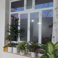 پنجره در حد نو