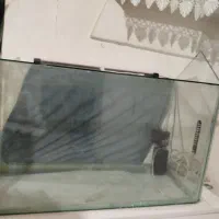 اکواریوم|ماهی|تویسرکان, |دیوار