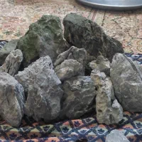 سنگ رایو آکواریوم