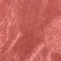 گمشدنه موکت ۵۱متر از روی وانت افتاده‌