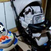 سرویس کالسکه میو