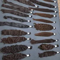کوتاهی مو