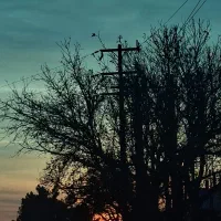 مدارکم گم شده