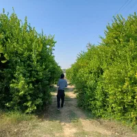 باغ مجهزکنار آسفالت با آب شیرین، و امکانات کامل جم