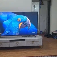 خونه-همخونه-برای-دانشجو