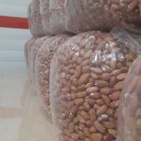 بادام زمینی تازه