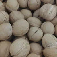 گردوی درجه یک چینی (پوست کاغذی)سایز درشت