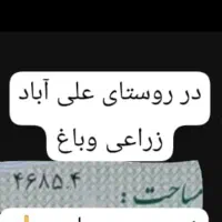 زمینی-در-روستای-علی-آباد-کپورچال-زراعی-و-باغی