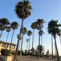 ویلا دوبلکس 570 متری در شهرک ساحلی خانه دریا|فروش خانه و ویلا|سرخرود, |دیوار