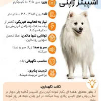 واگذاری سگ خانگی