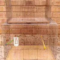 تابلوهای زیبای تزیینی ،پنکه سقفی،قفس|پنکه و تصفیهکنندهٔ هوا|دزفول, |دیوار