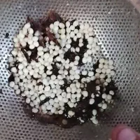 اهدائ خاویار حلزون