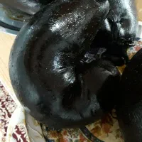 هیزه|ظروف نگهدارنده، پلاستیکی، یک‌بارمصرف|اسلام‌‌آباد غرب, |دیوار