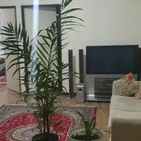 همخونه-همخانه-کادر-درمانم