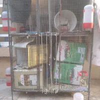 قفس|لوازم جانبی حیوانات|سیرجان, |دیوار