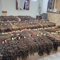 خرید مو‌ معتبرترین مرکز در استان لرستان