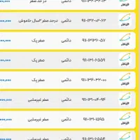 0911-138-9914 صفر پک|سیمکارت|رشت, حاجی آباد|دیوار