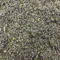 اسطوخودوس|خوردنی و آشامیدنی|شیراز, طلاب|دیوار