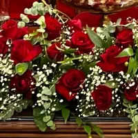 گل رز|گل و گیاه طبیعی|مشهد, آبکوه|دیوار