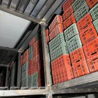 سبد پلاستیکی میوه|ظروف نگهدارنده، پلاستیکی، یکبارمصرف|نوشهر, |دیوار