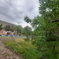 قطعه-زمین-بر-خیابان-در-اسکو-خسرق