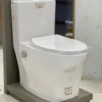 توالت فرنگی(چینی کُرد)