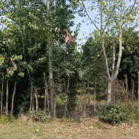زمین-مسکونی