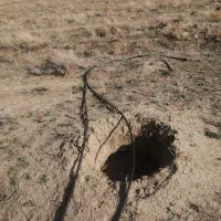 فروش زمین کشاورزی  800 متر در بالادست فولادمحله|فروش دفتر صنعتی، کشاورزی، تجاری|شهمیرزاد, |دیوار