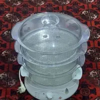 دستگاه  بخار پز
