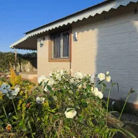 ویلاباغ 700متری/VilaBest|فروش خانه و ویلا|رشت, دیلمان|دیوار