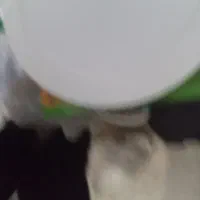 فروش یک عدد چراغ سقفی  42وات|لامپ و چراغ|سبزوار, امیر کبیر|دیوار