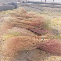 جارو|لوازم نظافت|شیروان (لرستان), |دیوار