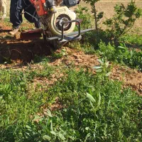 شخم زنی با تیلر باغ و گل خانه و غیره