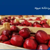 کار در سردخانه