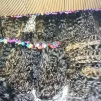 خریدار موی طبیعی فر و صاف