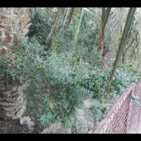 خونه-معاوضه-مهرستان-به-سراوان