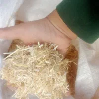 کاه گندم|حیوانات مزرعه|نیشابور, مازول|دیوار